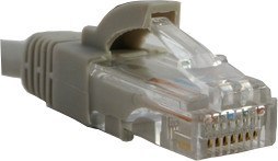 NETRACK CAT5e UTP 25m Szary 25 Patchcord